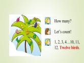 外研版（一年级起点）小学一年级英语下册 Module 3 Unit 2  How many green birds   课件1