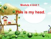 外研版（一年级起点）小学一年级英语下册 Module 4 Unit 1  This is my head.   课件9