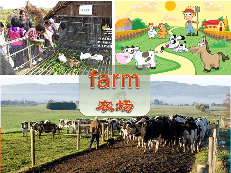 外研版（一年级起点）小学一年级英语下册 Module 5  Unit 1  They are cows.   课件2第5页