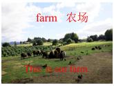 外研版（一年级起点）小学一年级英语下册 Module 5  Unit 1  They are cows.   课件10