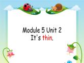 外研版（一年级起点）小学一年级英语下册 Module 5  Unit 2 It's thin.  课件