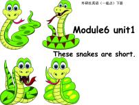 外研版 (一年级起点)一年级下册unit 1 These snakes are short.课文ppt课件