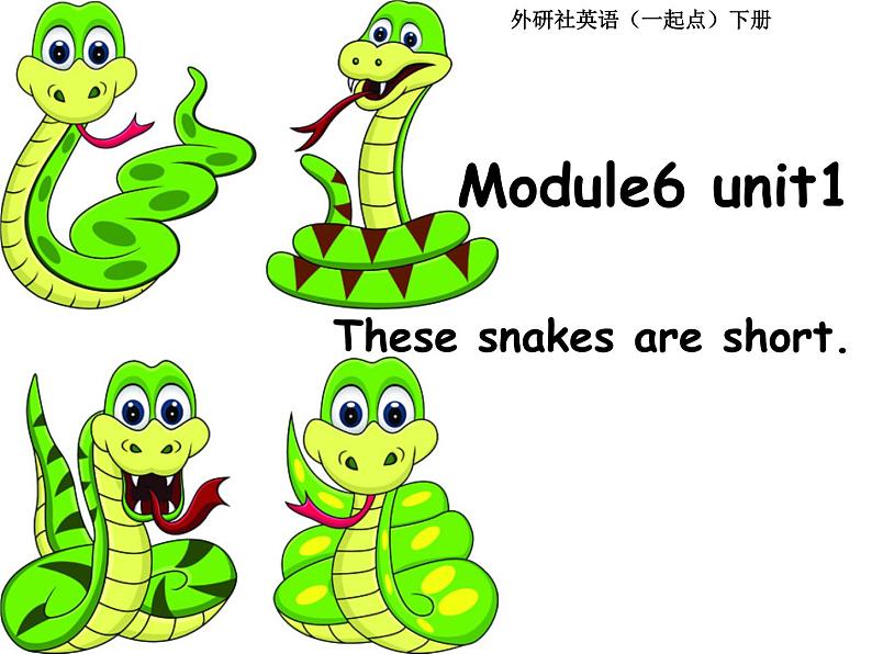 外研版（一年级起点）小学一年级英语下册 Module 6  Unit 1 These snakes are short.  课件第1页