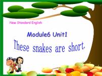 外研版 (一年级起点)一年级下册unit 1 These snakes are short.教课课件ppt