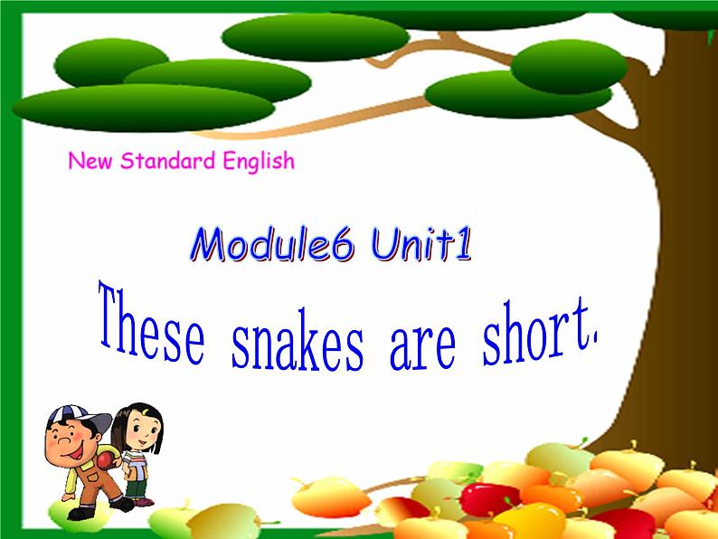 外研版（一年级起点）小学一年级英语下册 Module 6  Unit 1 These snakes are short.  课件2第1页