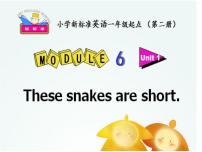 英语一年级下册unit 1 These snakes are short.说课ppt课件
