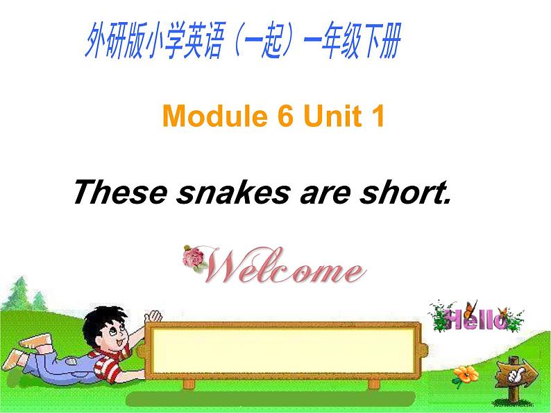 外研版（一年级起点）小学一年级英语下册 Module 6  Unit 1 These snakes are short.  课件4第1页