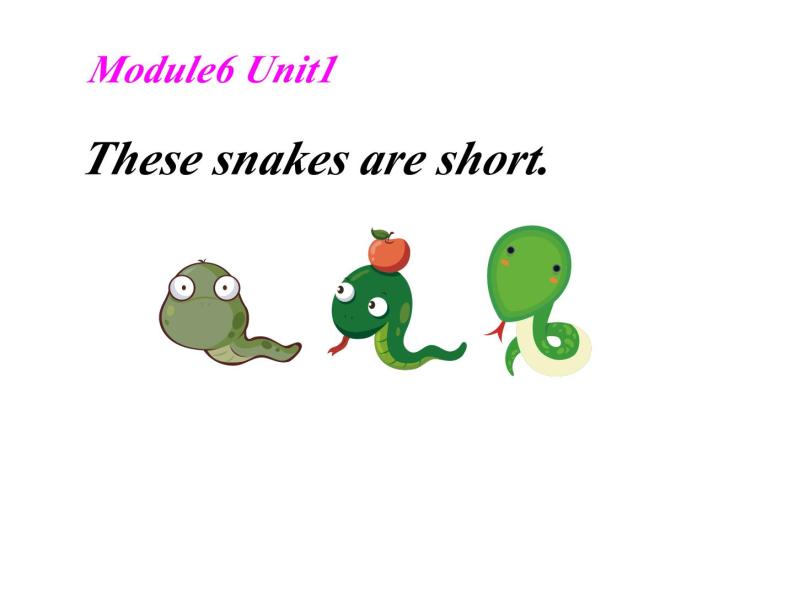 外研版（一年级起点）小学一年级英语下册 Module 6  Unit 1 These snakes are short.  课件403
