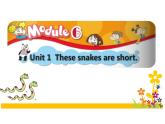 外研版（一年级起点）小学一年级英语下册 Module 6  Unit 1 These snakes are short.  课件5