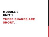 外研版（一年级起点）小学一年级英语下册 Module 6  Unit 1 These snakes are short.  课件6