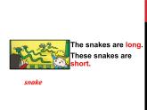 外研版（一年级起点）小学一年级英语下册 Module 6  Unit 1 These snakes are short.  课件6