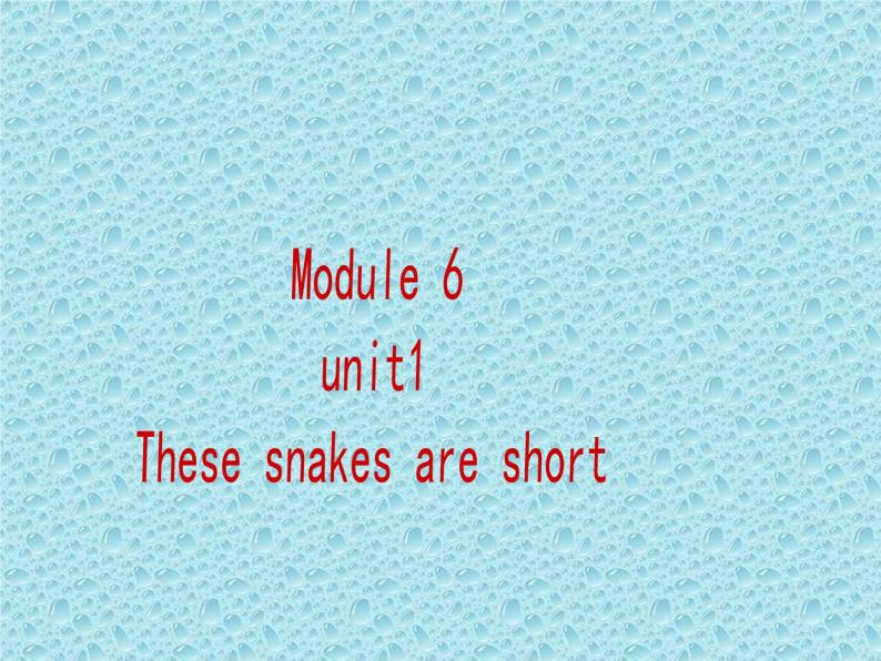 外研版（一年级起点）小学一年级英语下册 Module 6  Unit 1 These snakes are short.  课件701