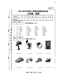 甘肃省定西市临洮县2022-2023学年三年级下学期期末英语试卷