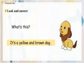 人教PEP版英语三年级上册 Unit 4 We love animals A Let's talk & Let's play 课件
