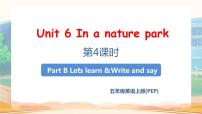 人教版 (PEP)五年级上册Unit 6 In a nature park Part B教学ppt课件