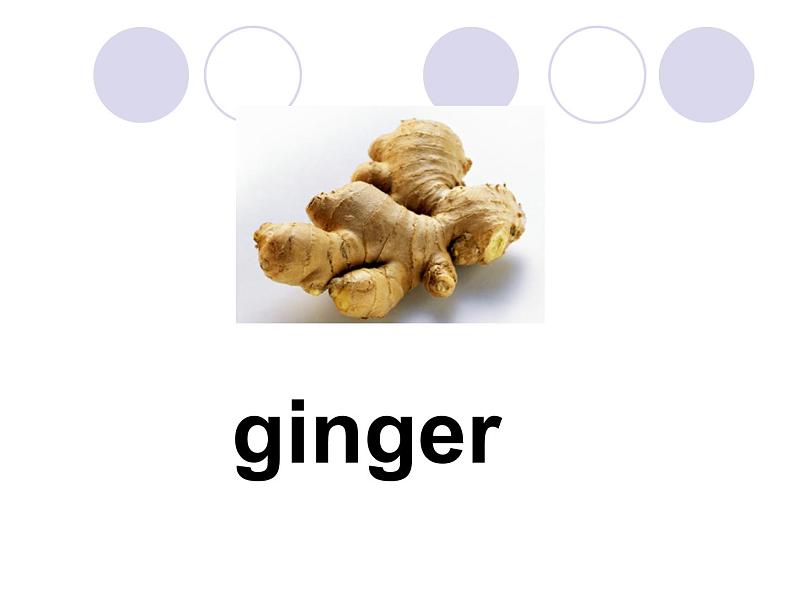 外研版（一年级起点）小学二年级英语上册 Module 2  Unit 2  I don’t like ginger.   课件04