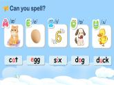 U6 第3课时 A Let's spell  4英上人教[课件+教案]