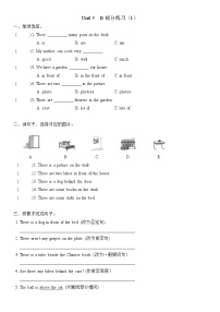 人教版 (PEP)五年级上册Unit 5 There is a big bed Part B精品一课一练