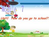 外研版（一年级起点）小学二年级英语上册 Module 7  Unit 1 How do you go to school  课件5