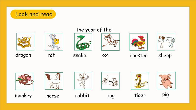 冀教版英语五年级上册Unit 4 Lesson 24 《Year Animal》课件03