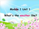 外研版（一年级起点）小学二年级英语下册 Module 1  Unit 1 What's the weather like  课件