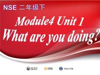 外研版 (一年级起点)二年级下册Unit 1 What are you doing ?课文配套ppt课件