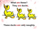 外研版（一年級起點）小學(xué)三年級英語上冊Unit 1 These ducks are very naughty!   課件