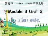 外研版（一年級起點）小學(xué)三年級英語上冊 Module 3  Unit 2 The ducks are playing in the rain.    課件