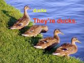 外研版（一年級起點）小學(xué)三年級英語上冊 Module 3  Unit 2 The ducks are playing in the rain.    課件