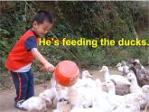 外研版（一年級起點）小學(xué)三年級英語上冊 Module 3  Unit 2 The ducks are playing in the rain.    課件