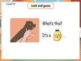 Unit 4 We love animals（新课标）第2课时 A Let's learn & Let's chant 3英上人教[课件]