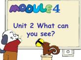 外研版（一年级起点）小学三年级英语上册 Module 4 Unit 2 What can you see？   课件