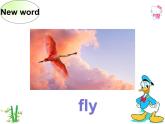 外研版（一年级起点）小学三年级英语上册 Module 4 Unit 2 What can you see？   课件