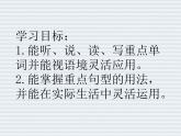 外研版（一年级起点）小学三年级英语上册 Module 4 Unit 2 What can you see？   课件1