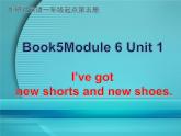 外研版（一年级起点）小学三年级英语上册 Module 6  Module 6 Unit 1 I've got new shorts and new shoes.  课件1