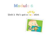 外研版（一年级起点）小学三年级英语上册 Module 6 Unit 2 He's got a new shirt.  课件1