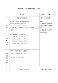 外研版 (一年级起点)Module 7Unit 2 She’s got a cold.学案