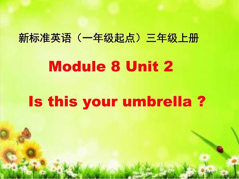 外研版（一年级起点）小学三年级英语上册 Module 8 Unit 2 Is this your grandma's umbrella？  课件101