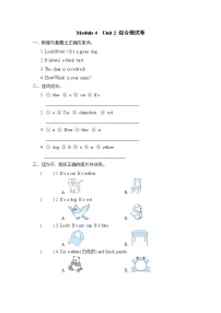 小学英语外研版 (三年级起点)三年级上册Module 4Unit 2 It's a black dog.课时练习