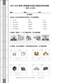 新疆乌鲁木齐市天山区2022-2023学年三年级下学期期末考试英语试题