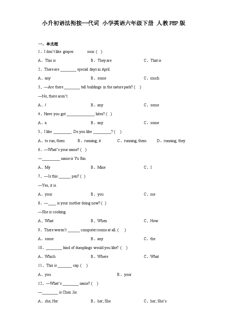 小升初语法衔接--代词小学英语六年级下册 人教PEP版 试卷01