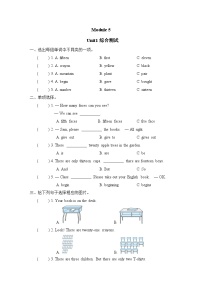 外研版 (三年级起点)五年级上册Module 5Unit 1 There are only nineteen crayons随堂练习题