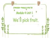 外研版（一年级起点）小学三年级英语下册 Module 4 Unit 1 We'll pick fruit.   课件