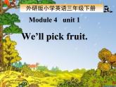 外研版（一年级起点）小学三年级英语下册 Module 4 Unit 1 We'll pick fruit.   课件2