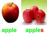 外研版（一年级起点）小学三年级英语下册 Module 4 Unit 1 We'll pick fruit.   课件5