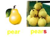 外研版（一年级起点）小学三年级英语下册 Module 4 Unit 1 We'll pick fruit.   课件5