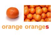 外研版（一年级起点）小学三年级英语下册 Module 4 Unit 1 We'll pick fruit.   课件5