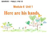 外研版（一年级起点）小学三年级英语下册 Module 6 Unit 1 Here are his hands.  课件4