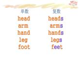 外研版（一年级起点）小学三年级英语下册 Module 6 Unit 1 Here are his hands.  课件4