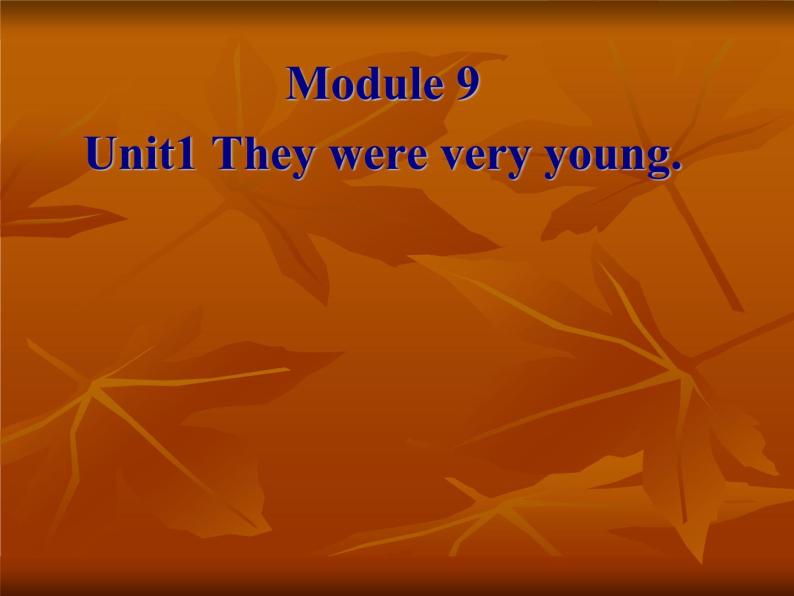 外研版（一年级起点）小学三年级英语下册 Module 9 Unit 1 They were very young.   课件201